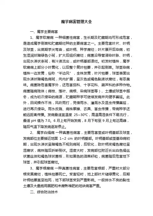 魔芋病害管理大全