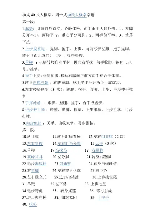 杨式40式太极拳拳谱 (1)