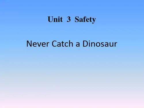 《Never Catch a Dinosaur》Safety PPT课件