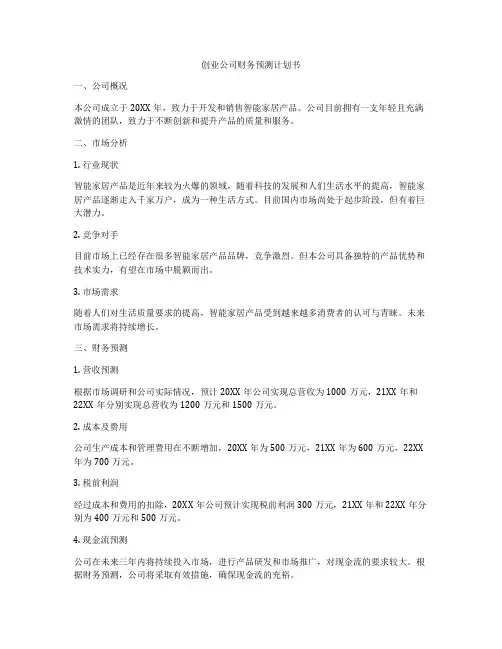 创业公司财务预测计划书