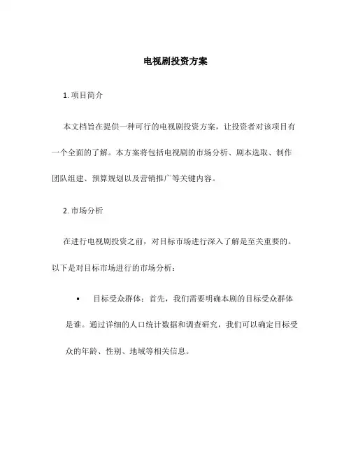 电视剧投资方案