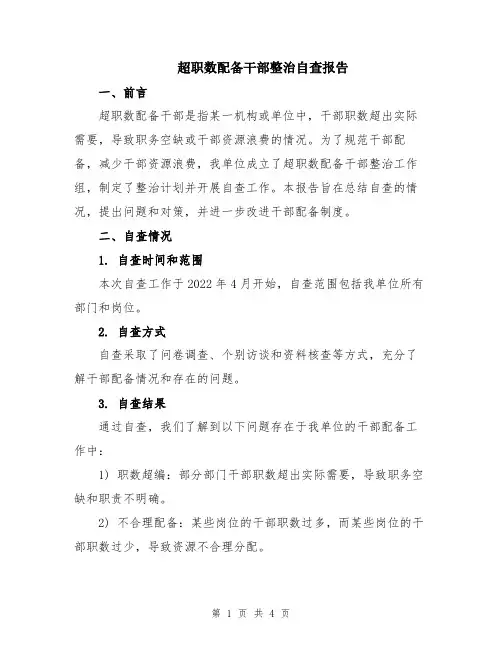 超职数配备干部整治自查报告