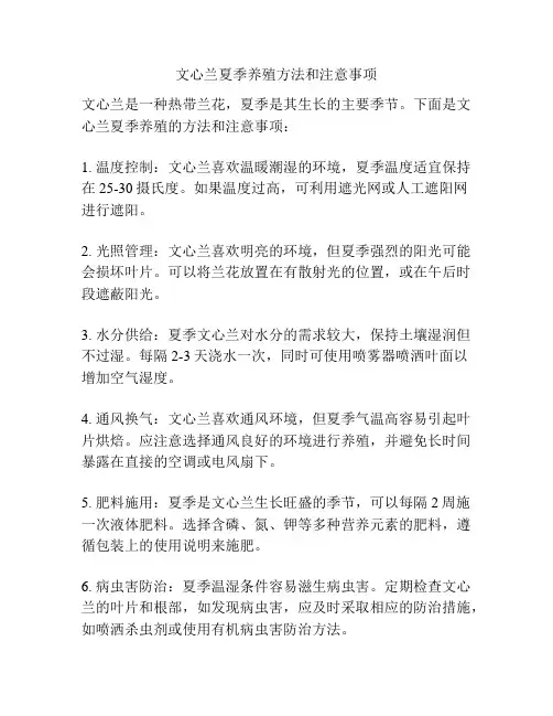 文心兰夏季养殖方法和注意事项