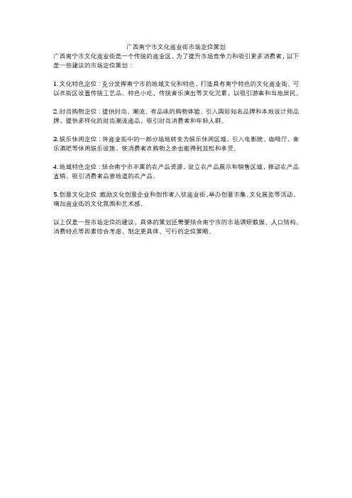 广西南宁市文化商业街市场定位策划