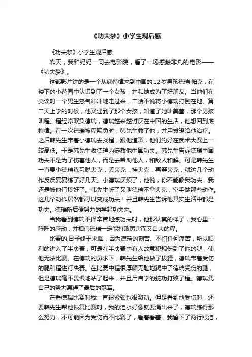 《功夫梦》小学生观后感