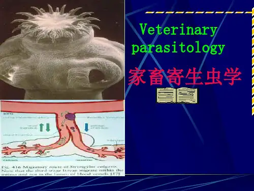 家畜寄生虫学 总论(第一章-第四章)