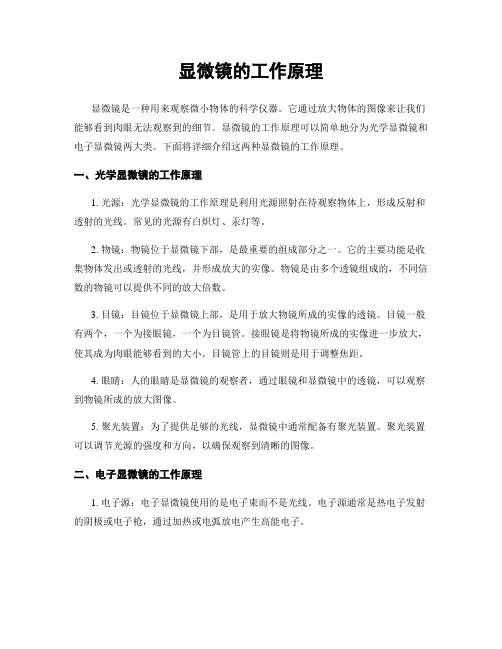 显微镜的工作原理
