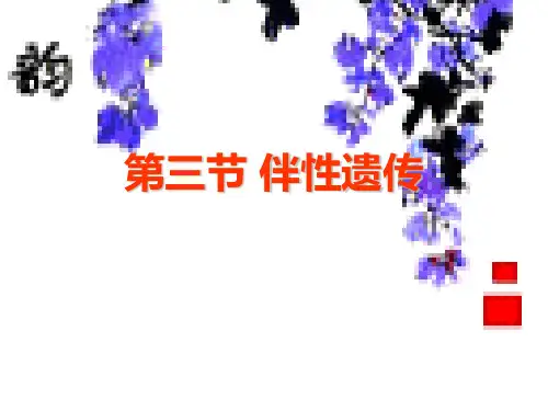 人教版教学课件高一生物必修二遗传和进化第二章第三节伴性遗传课件