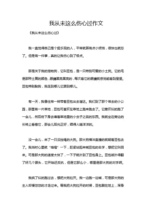 我从未这么伤心过作文