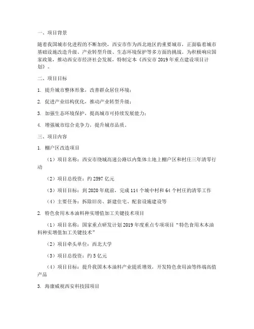 西安2019项目计划书模板
