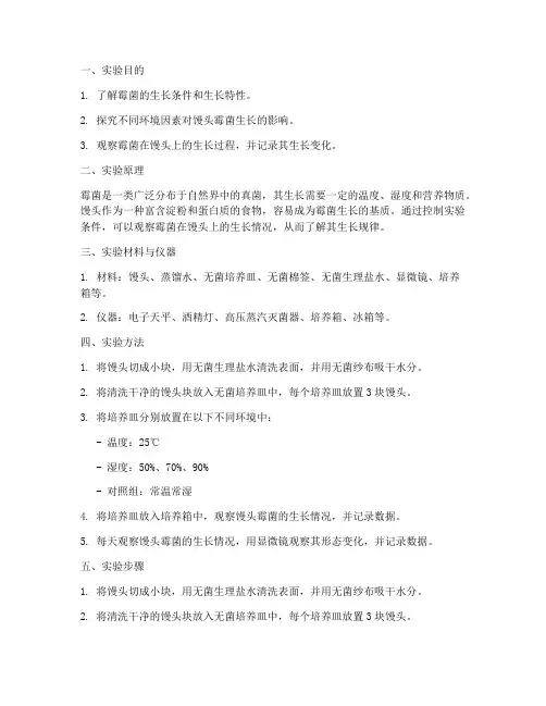 馒头霉菌培养实验报告