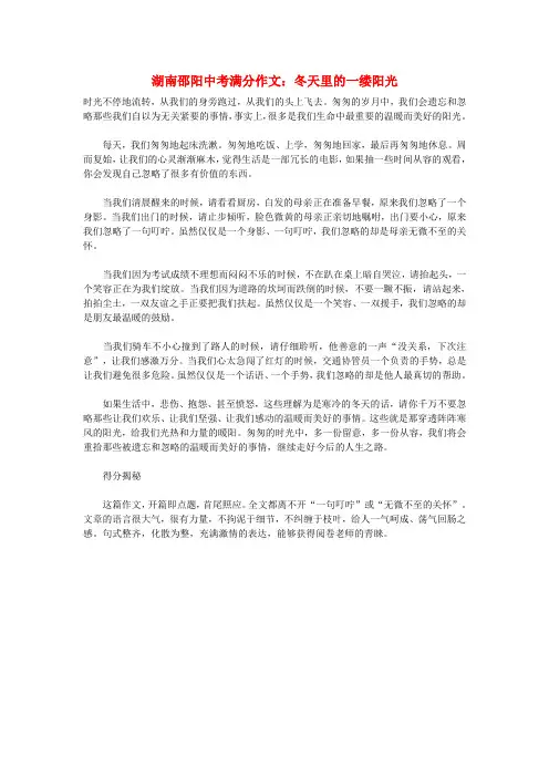最新-湖南省邵阳市2018年中考语文满分作文 冬天里的一