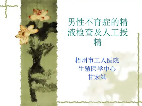 人工授精课件