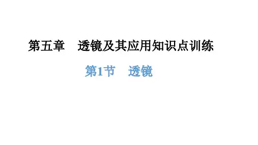 5.1透镜知识点强化训练课件--人教版物理八年级上学期