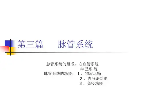 解剖学    第三篇     脉管系统
