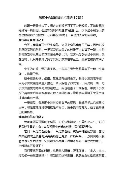 观察小仓鼠的日记（精选10篇）