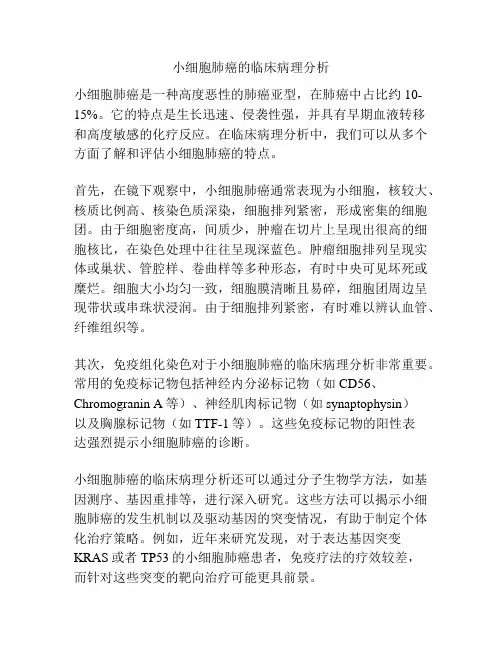 小细胞肺癌的临床病理分析