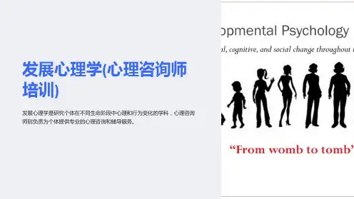 发展心理学(心理咨询师培训