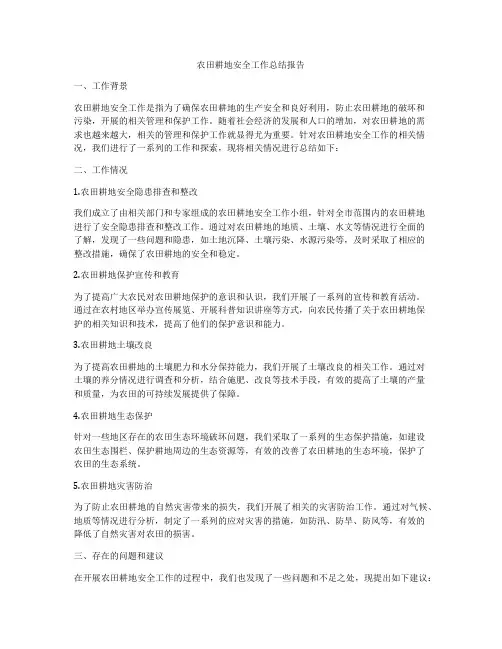 农田耕地安全工作总结报告