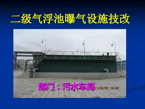 二级气浮池曝气设施技改Microsoft-PowerPoint-演示文稿