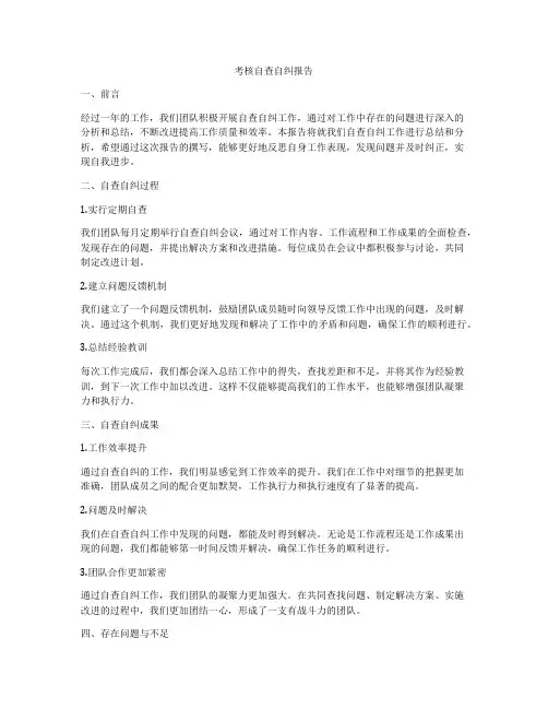 考核自查自纠报告