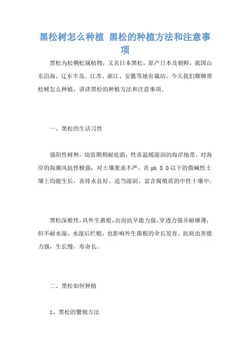 黑松树怎么种植 黑松的种植方法和注意事项