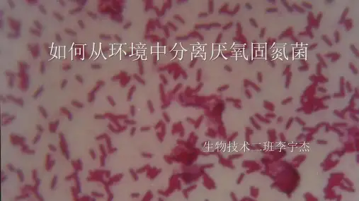从环境中分离厌氧固氮菌