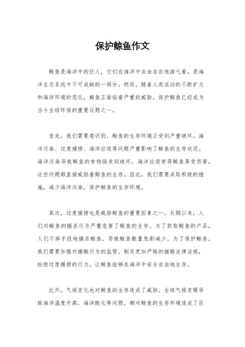 保护鲸鱼作文