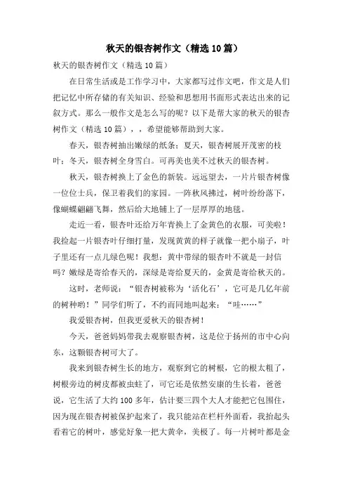 秋天的银杏树作文(10篇)
