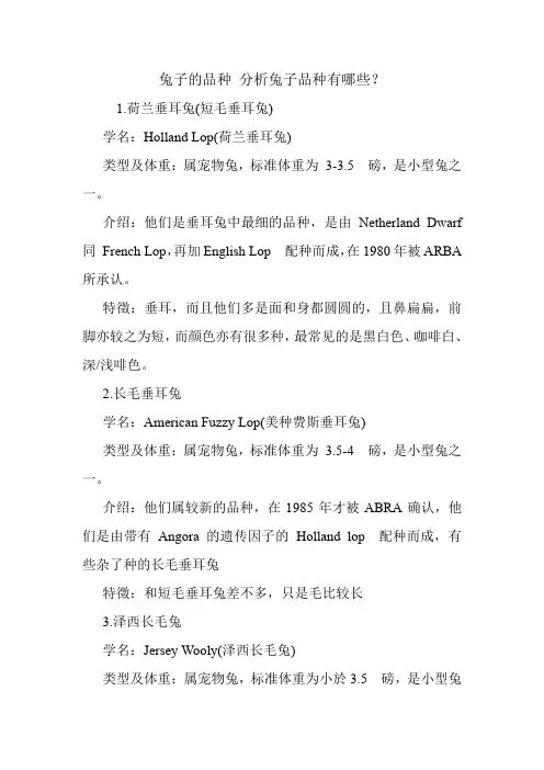 兔子的品种 分析兔子品种有哪些？