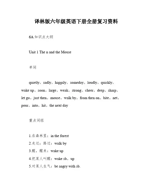 译林版六年级英语下册全册复习资料