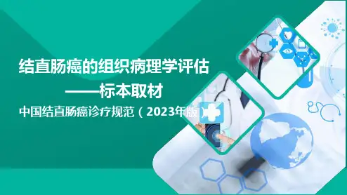 结直肠癌的组织病理学评估-标本取材