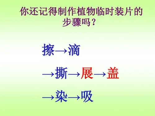 观察动物细胞课件.ppt