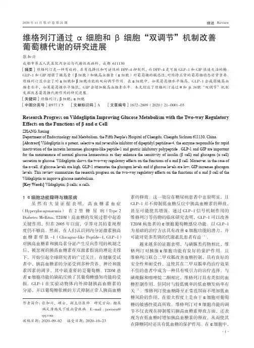 维格列汀通过α细胞和β细胞“双调节”机制改善葡萄糖代谢的研究进展