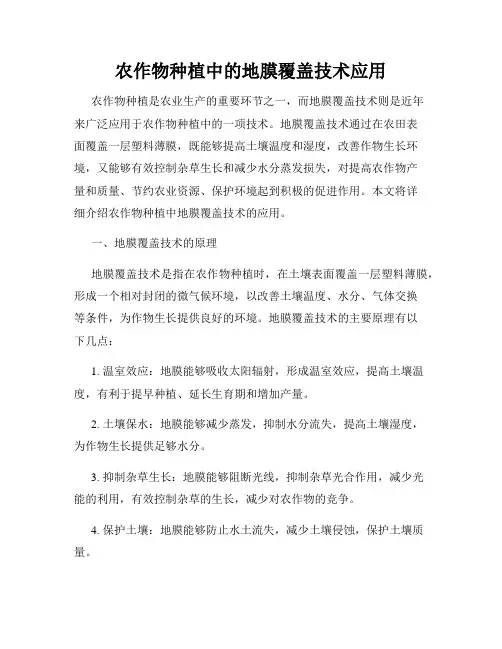 农作物种植中的地膜覆盖技术应用