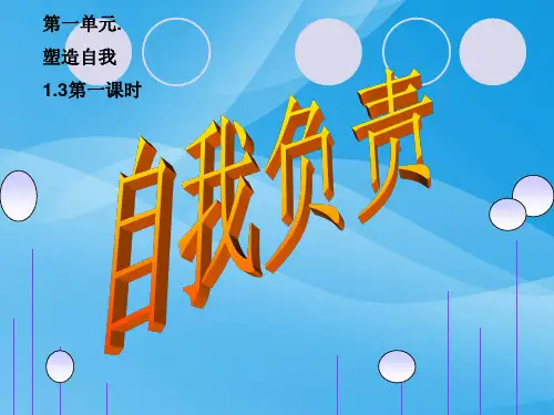 自我负责(广东)优质课件PPT