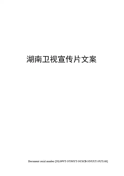 湖南卫视宣传片文案