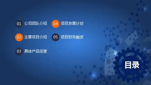 团队项目融资合作计划动态授课PPT课件