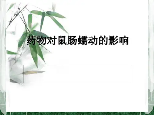 药物对鼠肠蠕动的影响[优质ppt]