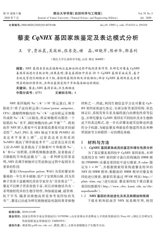 藜麦CqNHX基因家族鉴定及表达模式分析