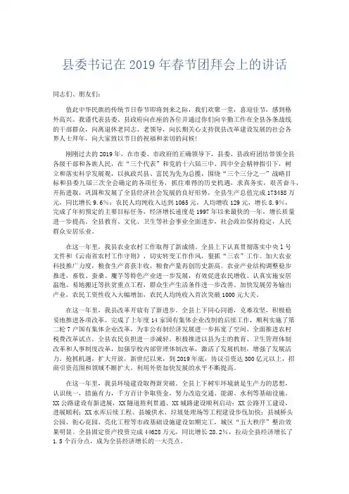 节日庆典-县委书记在2019年春节团拜会上的讲话 精品001