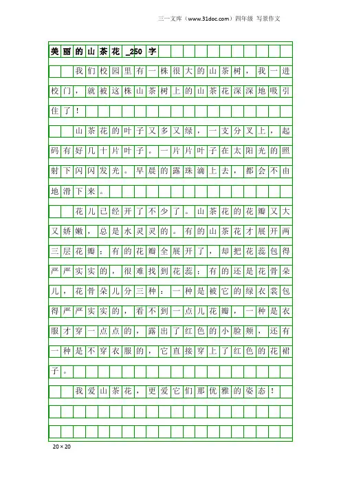 四年级写景作文：美丽的山茶花_250字