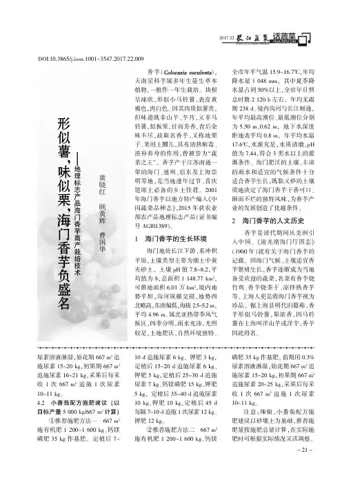 形似薯味似栗海门香芋负盛名——地理标志产品海门香芋高产栽培技术