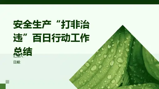 安全生产“打非治违”百日行动工作总结