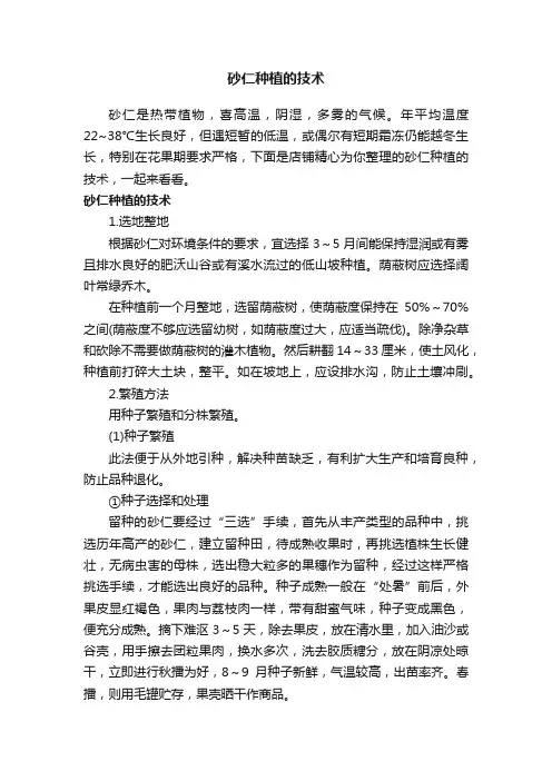 砂仁种植的技术