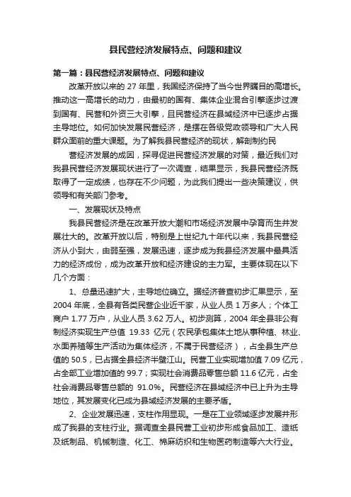县民营经济发展特点、问题和建议