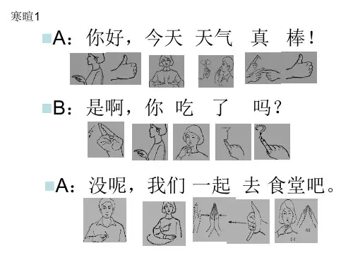 手语用语