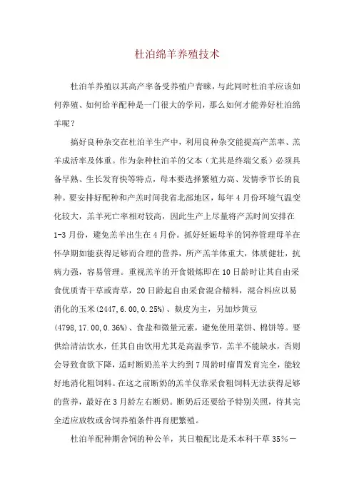 杜泊绵羊养殖技术