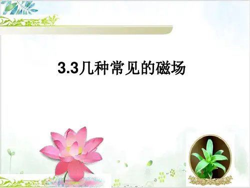 人教版高中物理选修3-1第三章几种常见的磁场课件(40页)-PPT优秀课件