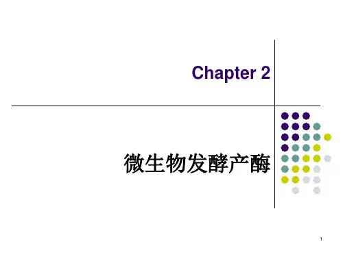微生物发酵产酶